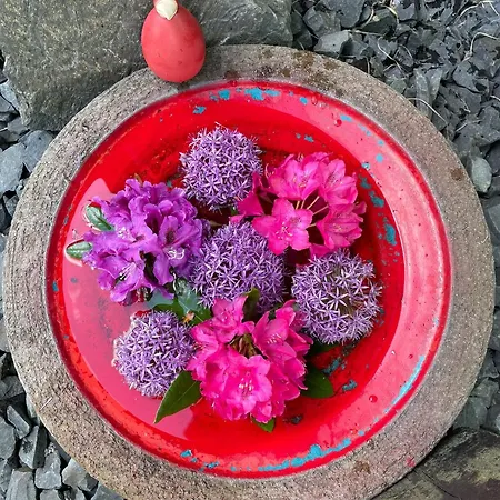 Berges Basecamp בית אירוח ברקרפלד